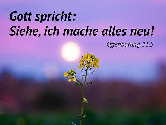 Ohne_Titel.jpg 